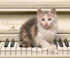 Над котенка игры на фортепиано